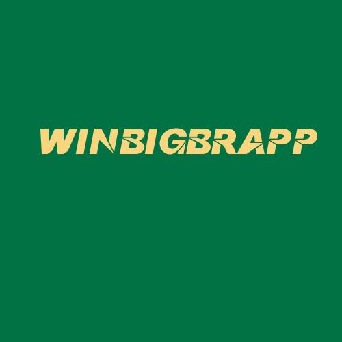 Logo da WINBIGBRAPP